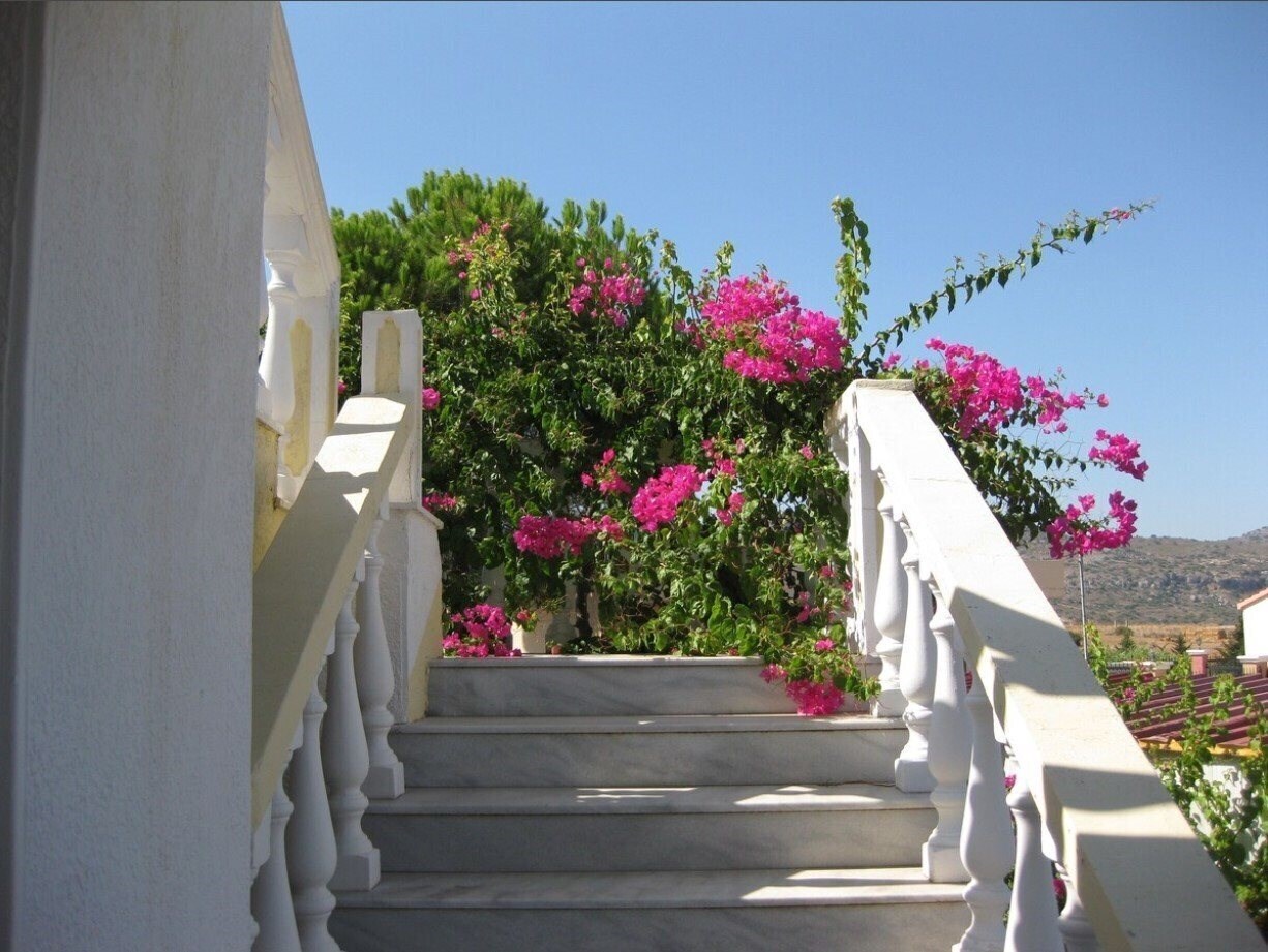 Вид Helgas Paradise 2*